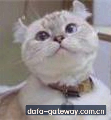 周杰